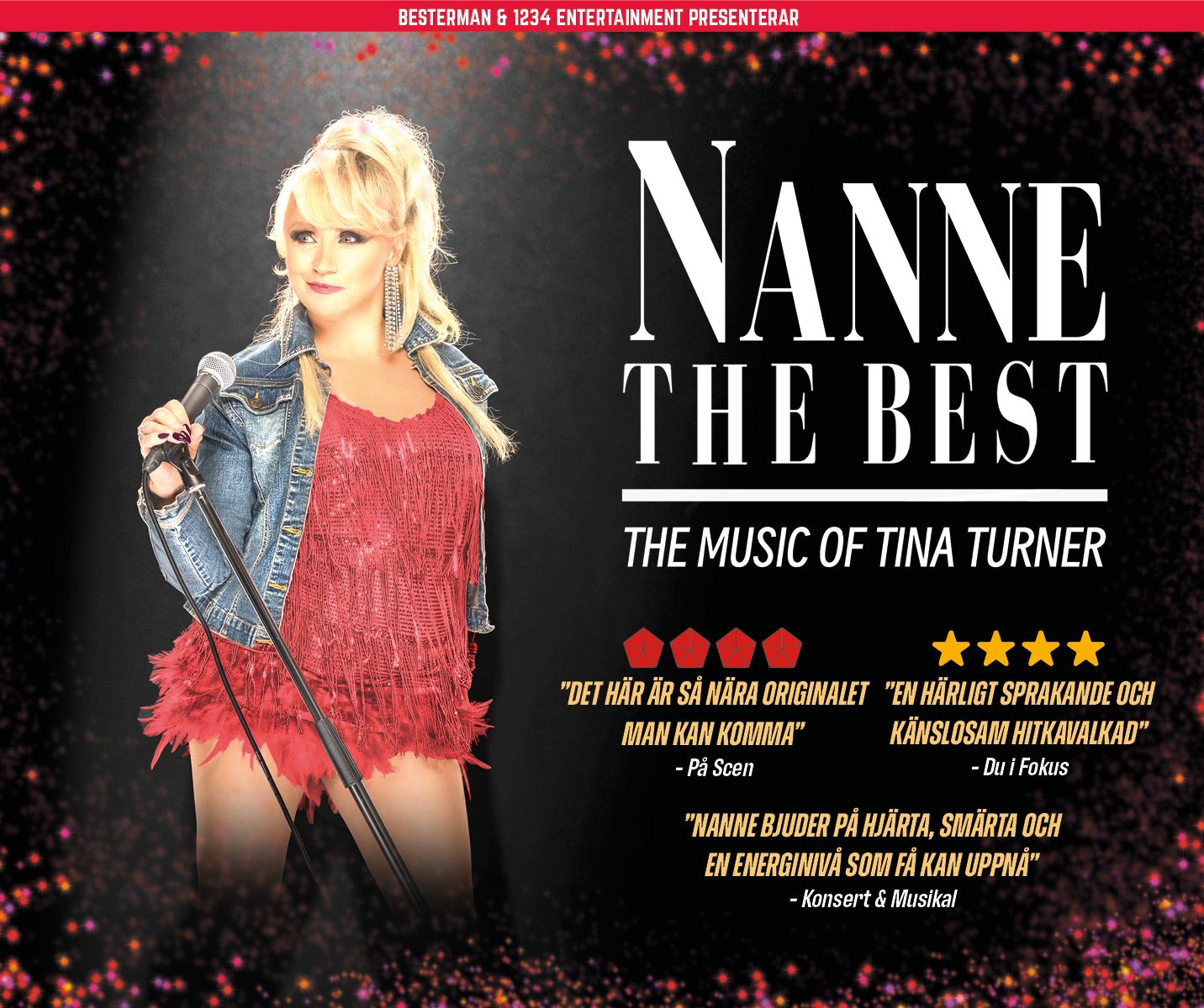 Nanne the best - The music of Tina Turner – Entré Sundsvall